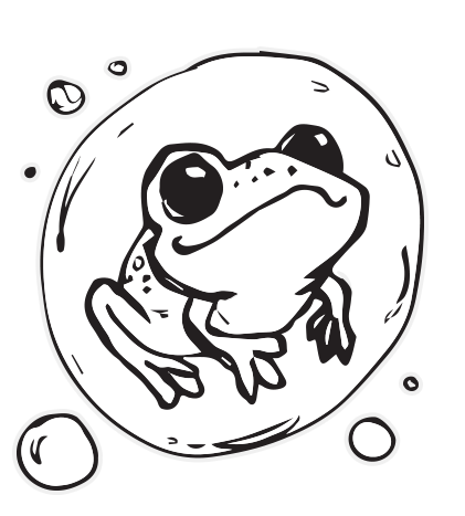 Frog Sticker